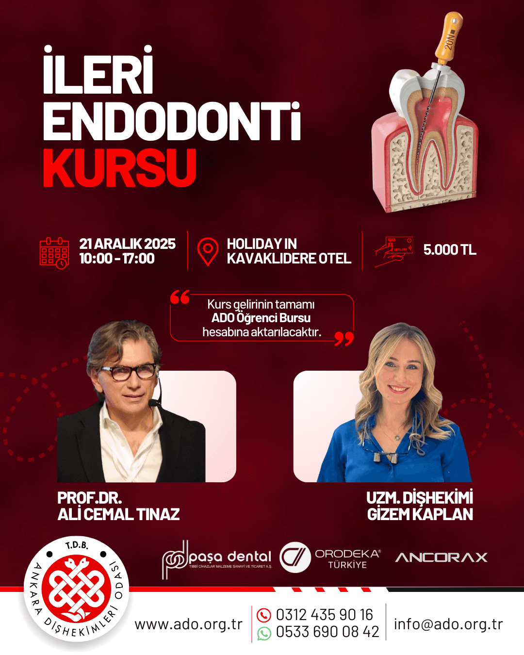 “İleri endodonti kursu” görseli