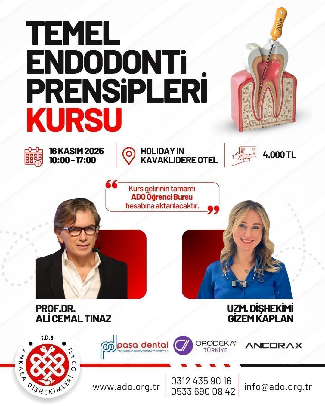 “Temel endodonti prensipleri kursu” görseli