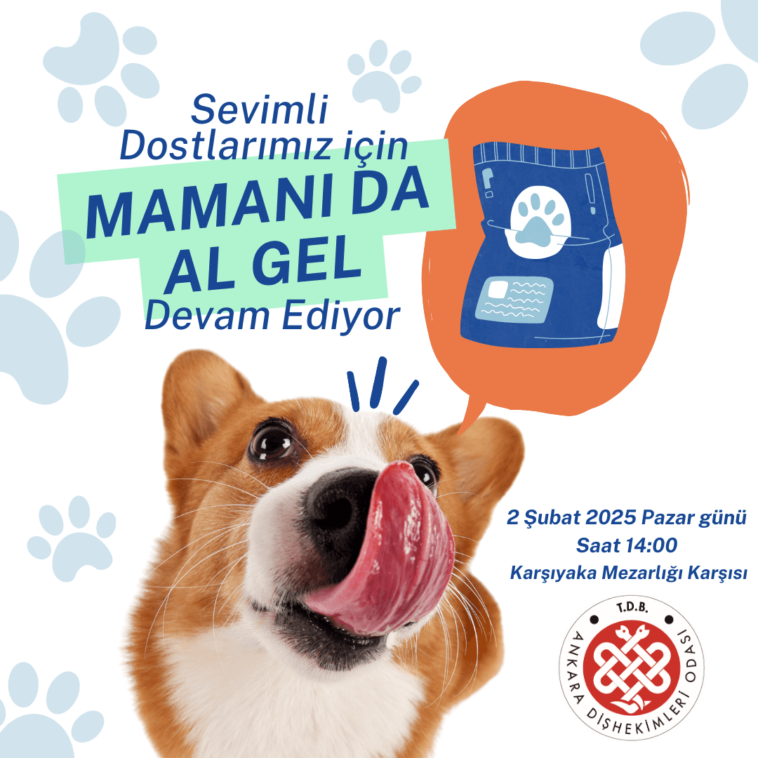 “Mamanı da al gel etkinliği - 2” görseli
